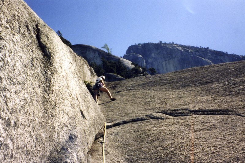 Climbing Snake.