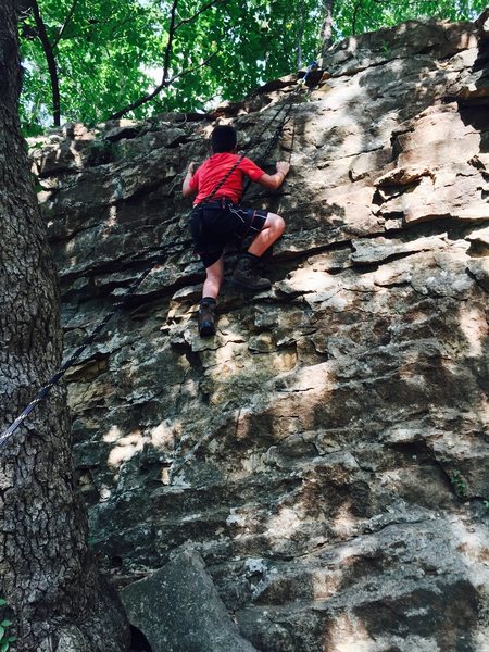 The boy west side of Cub Scout. He took to the rocks like he was born there.