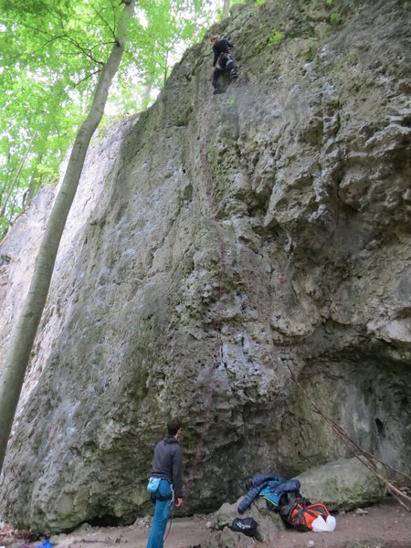 Fanny at the top of Alf