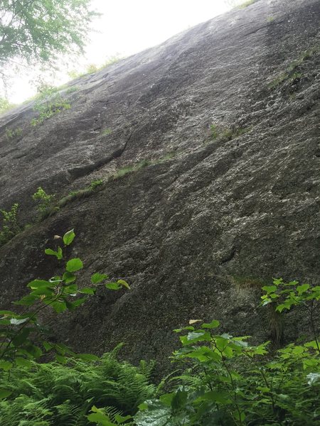 From where the trail intersects the wall. Gully that skirts the cliff before the pinnacles to the right is just right of here.