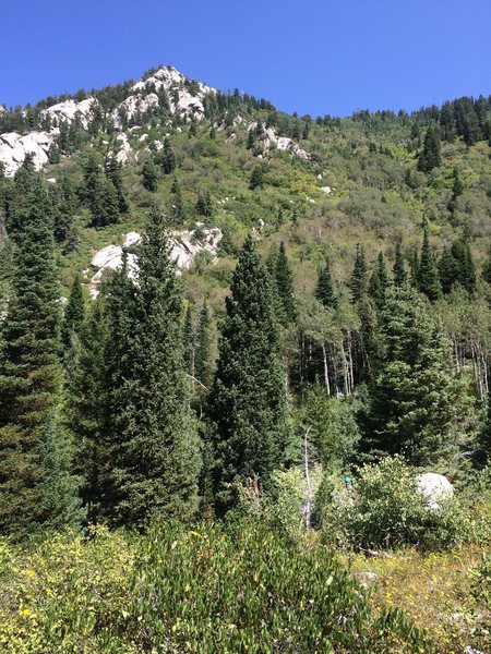 This is the back of Perrla's Ridge as taken from where you first hit the Bell's Canyon trail. As you can see, if you go straight South (right in the picture) you'll hit the forest floor after ~200 feet of downclimbing and rappelling. If you go down the shoulder (left from the peak in the photo) first, you have to go quite a ways or you'll be cliffed out.