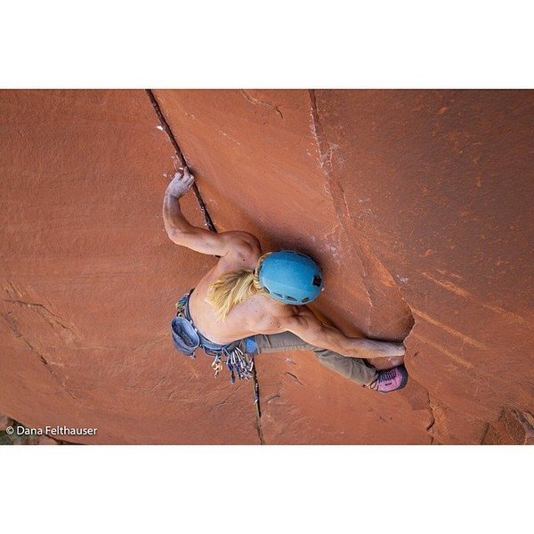 Interesting Stemming. Photo by Dana Felthauser