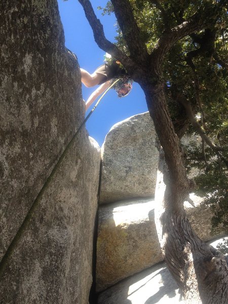 None of this tree nonsense is necessary. You can easily plug a number 2 in near the top of the crack "roof" then its perfect hands there as well and an easy left leg mantl-y-doober and yer off to the races