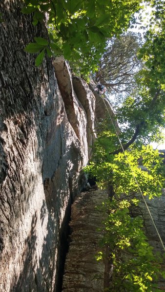 Millie topping out No Verguenza