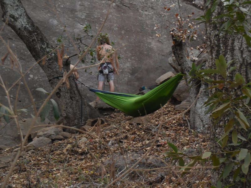 Climbers working on "Lama," with another relaxing in a hammock over the poison oak.