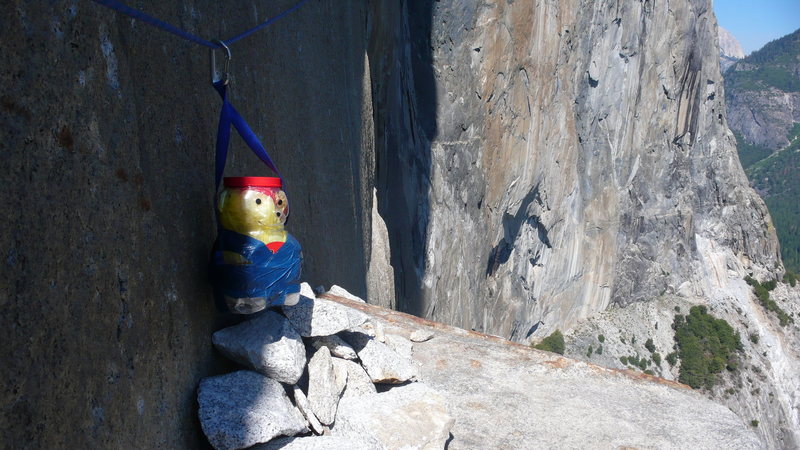 Winnie the Poo, hanging out on El Cap Tower