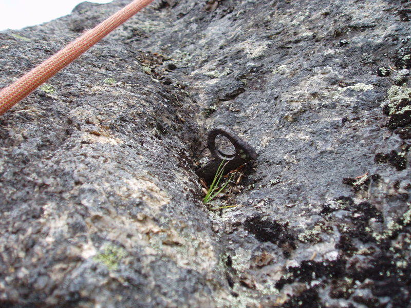 1966 Piton, on P8 of "A Night Climb", just below where "Night Climb" traverses right from "1991's Ground Control". It was dark, so we left it in!