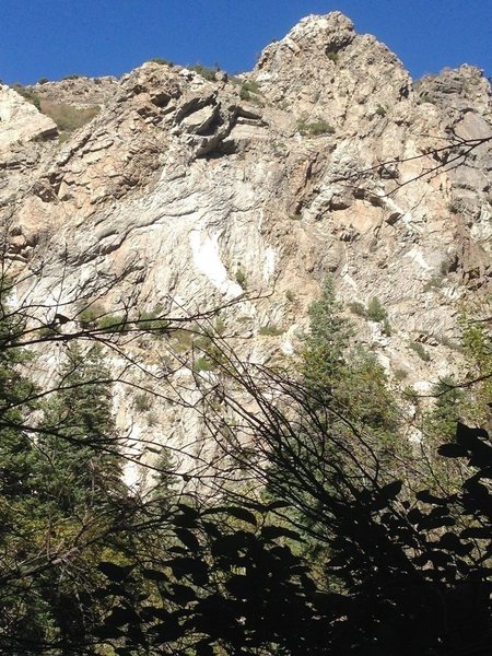 This is the view of the tower at the exact point where you exit the trail and start hiking towards the creek.