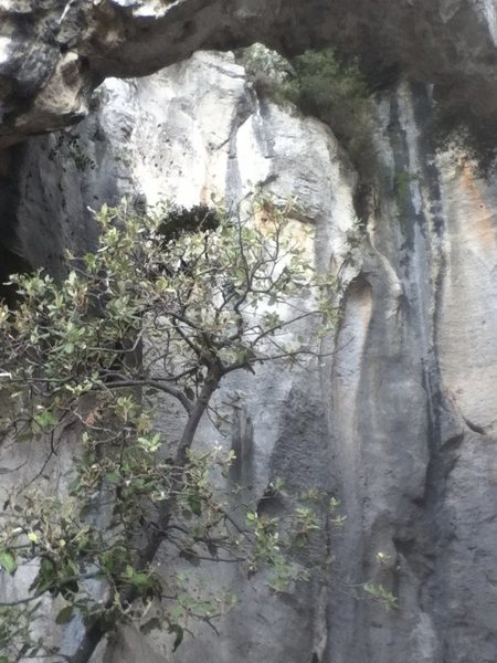 sample of cave walls