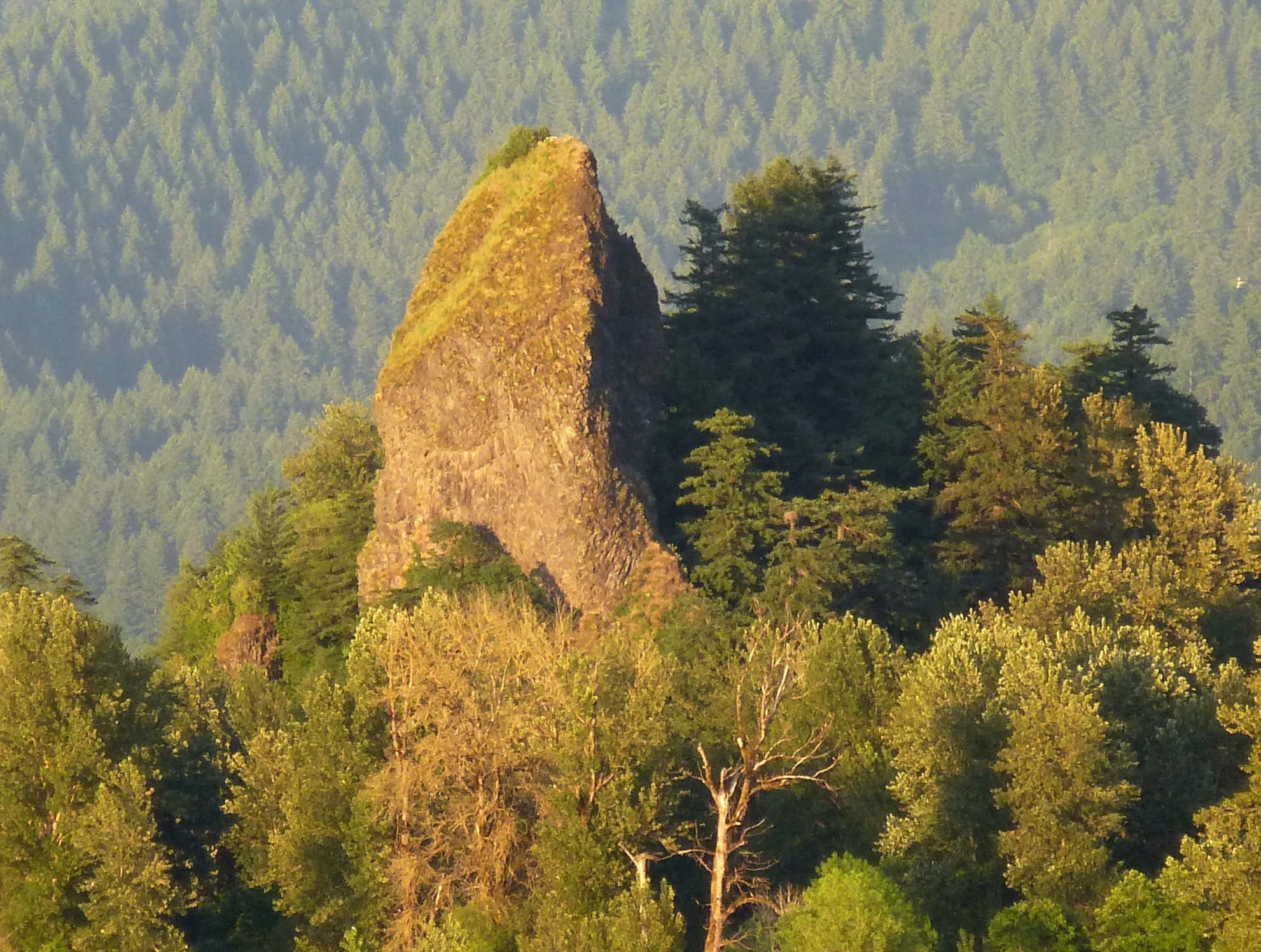 Evening shot of Rooster Rock...best time to climb, after work...for the