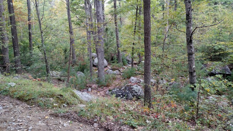 This is the path that leads to the Bob Johnson Boulders. After passing the large lake/marsh and meeting up with the road, walk 2/3 mins uphill up the road, and take a right on this path.