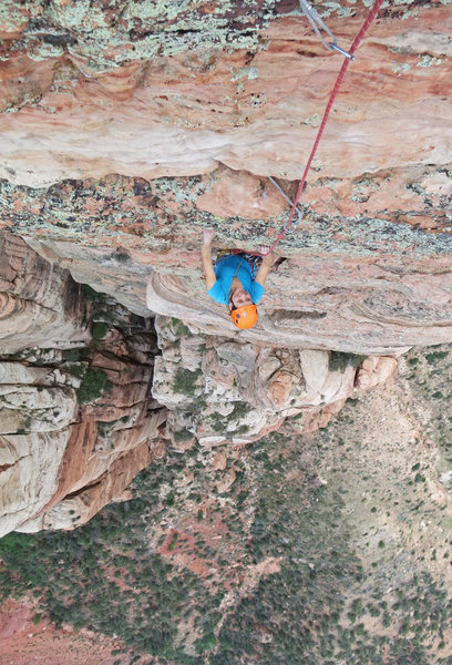 Emily Reinsel on P9.