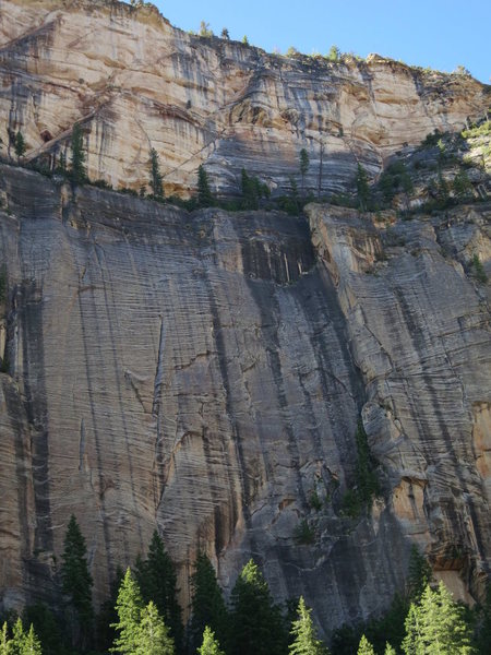 A closer view of the line.
