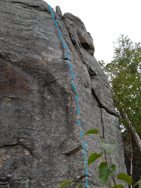 Top and third section to Venom.