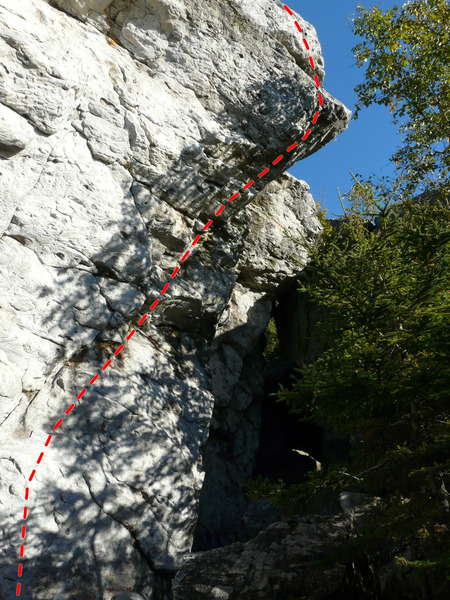 Orgasmotron 5.12b