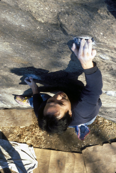 Scratching Post V3 / Cat Rock / Central Park / Climber: Komba