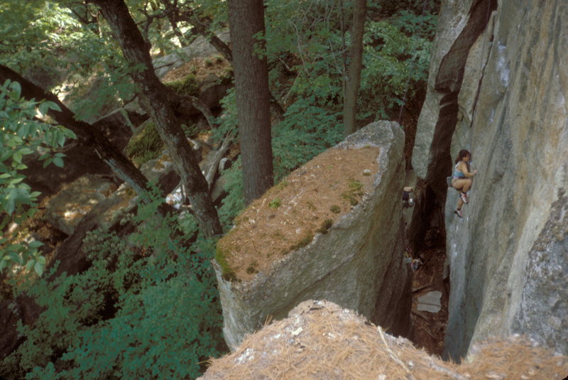 Jim Munson's wife (Noel?) starting up Brave New World at Lost City.
