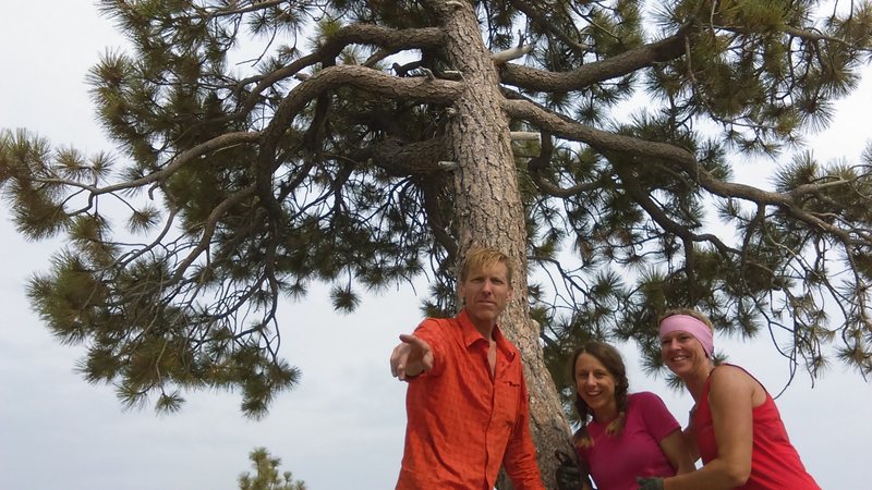 at the top out tree. it took us two nights on the wall and a day prior to fix to sickle. (not my normal ascent style, but rewarding all the same.)