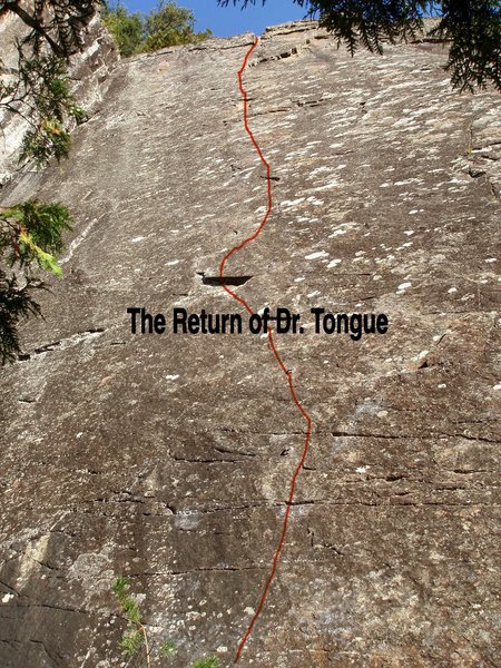 The Return of Dr. Tongue