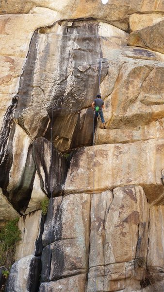 Rappelling Real Black Velvet.