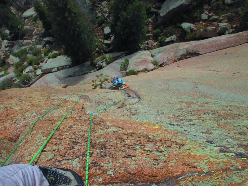 Kat A. gets into the business end of Astro Turkey (5.11, PG-13) on Sunshine Wall.