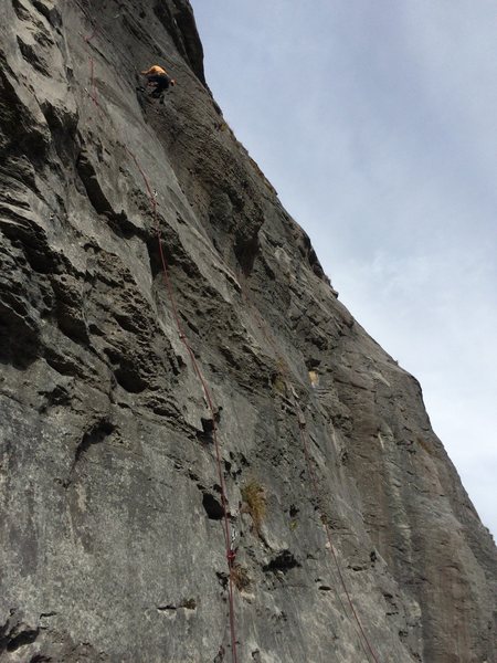Mitch lowering off the top of z'Vieri