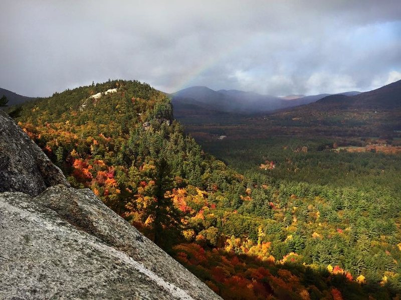 Rainbow and foliage!