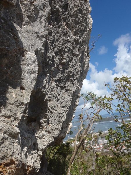 Iguana drive. 25 ft Overhanging coral stone very sharp, watch your finger, is part of the same wall at Pelican Cove with Boulder or solo climb possibilities, but climb carefully the fall is right on the below cliff pads are necessary..