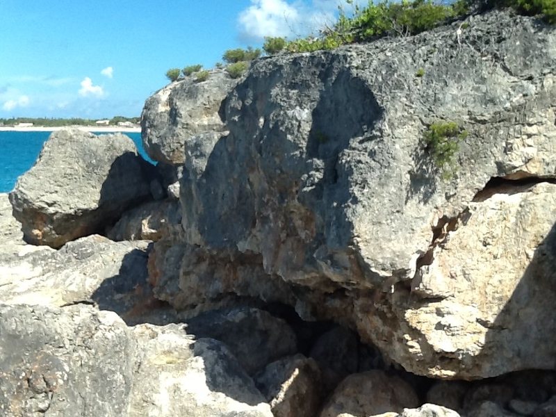 The wolf, overhanging Boulder 13 ft medium difficulty, on Coral stone..