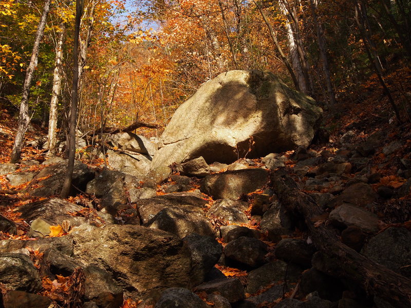 Boulder in approach gully- about 5-8 min after passing this, look for the path to turn off right.