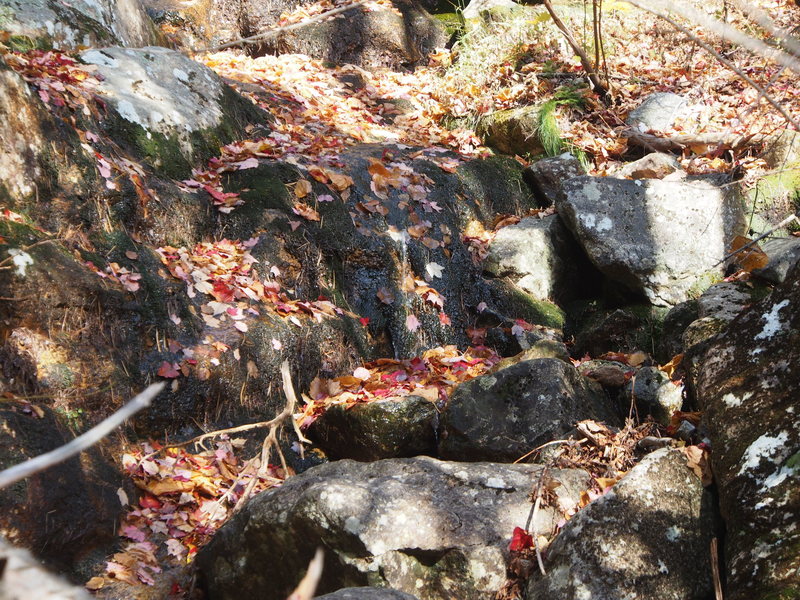 Steep, slimy streambed...if you get here you're 40-50 ft too high and have missed the turn off to the right