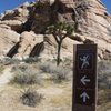 Trail marker on the way to Cyclops Rock, Joshua Tree NP