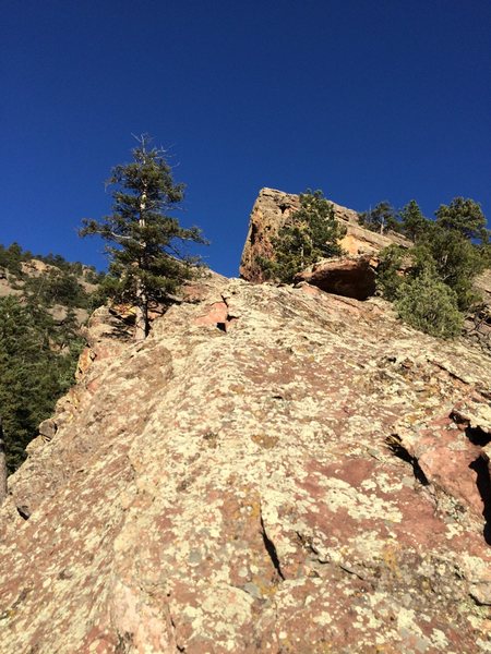 The ridge.