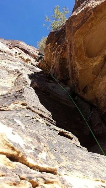Ali, leading pitch three