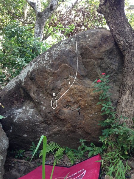 Bustani Boulder