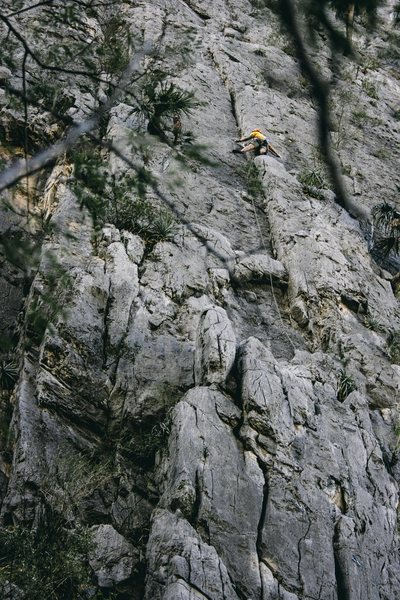 Adam Mitchell on Will the Wolf Survive.<br>
Andrew Adkins Photo.