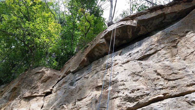 Baby Kangaroo climbs over the small roof just left of the rope. Captain Kangaroo climbs over the roof in the small "v" to the right of the rope.