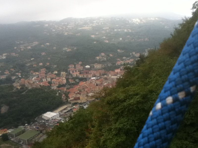 bird's view