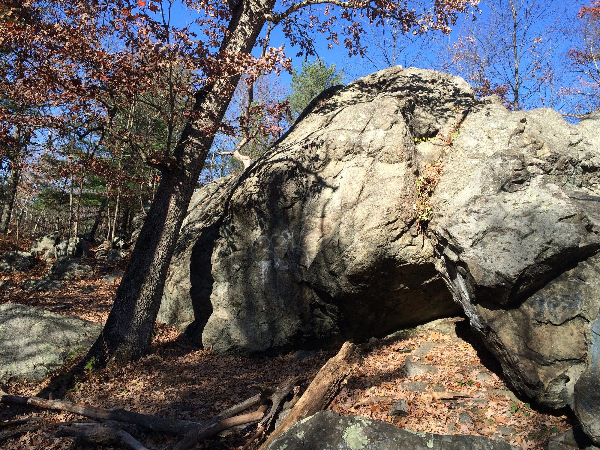 Panther Cave.