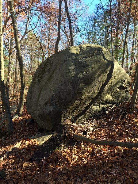 Eyeball Boulder.