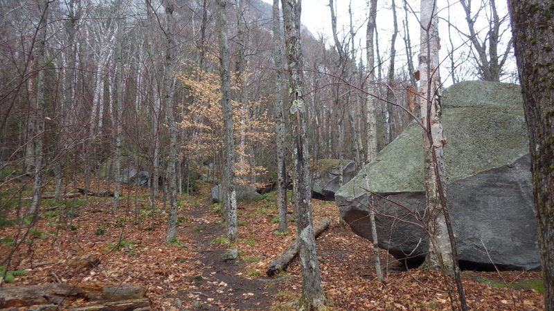 The BFR. Some boulder problems here and on other nearby boulders. This is where the trail towards Moosehead bears to the left.