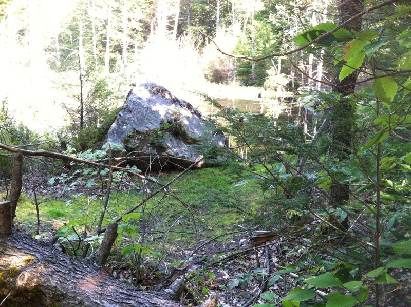 When you see this boulder, the hole in the side of the road will be on your left. Turn left and head into the woods at this hole and you'll find the swamp boulders.