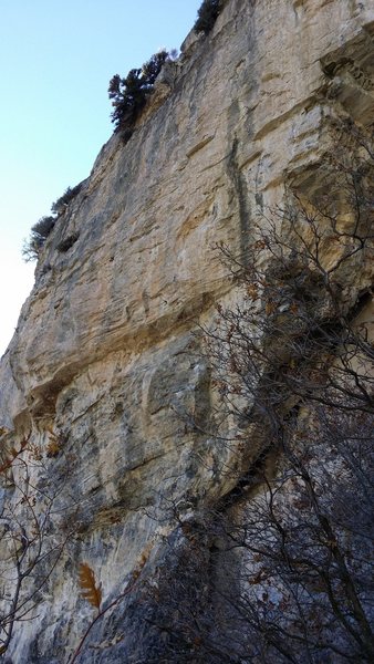 Side view; Apetizer is the middle line.
