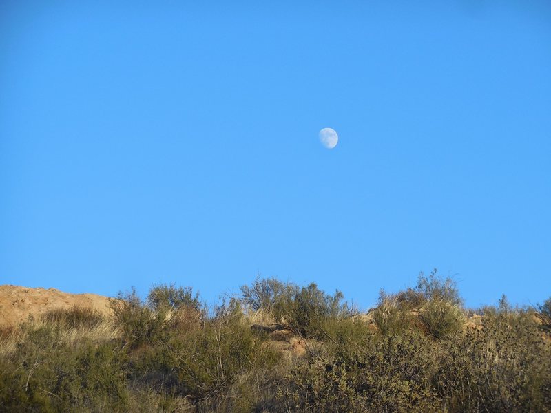 The moon setting over Texas Canyon.
