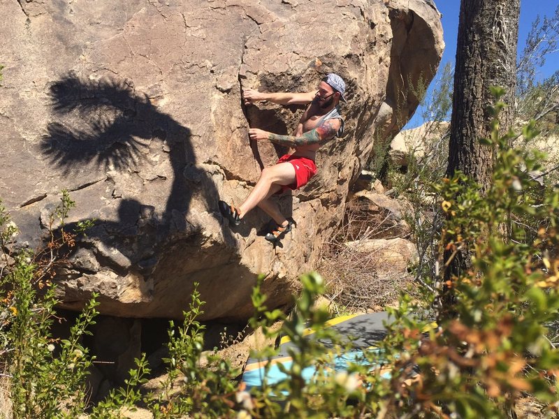 K. Adams warming up on the first V1 at the Bighorn Boulders, J.Tree