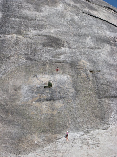 Climber on the money pitch of Zee Tree
