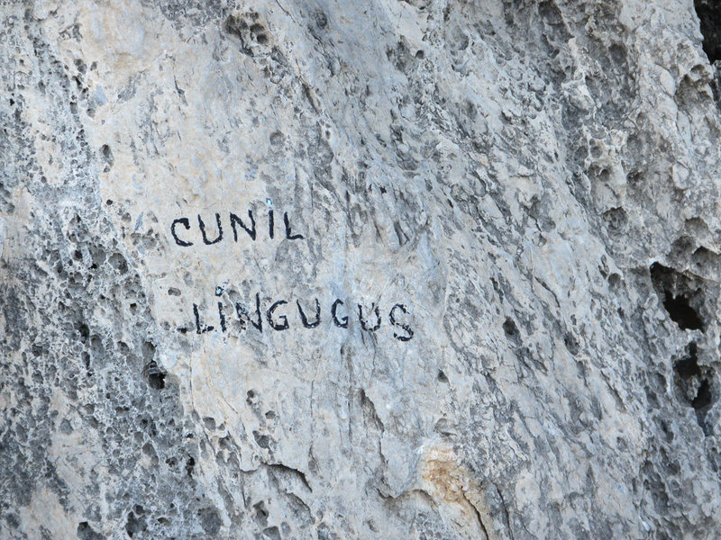 The name of the route. The guide book is different than what was painted on the rock.