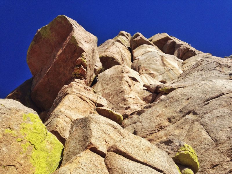 Jack on Crisco Way, a stout 5.8!