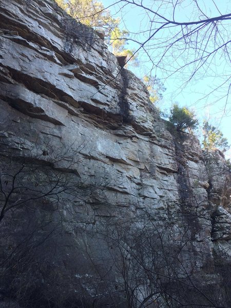RIght side of Fern Gulley. "Back to the Feature" climbs the middle of the face.