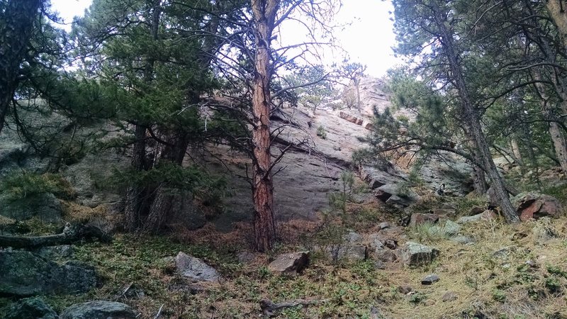 Gregory Flatironette aka Fifth Pinnacle <br>
South Ridge.